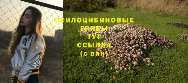 кокс Корсаков