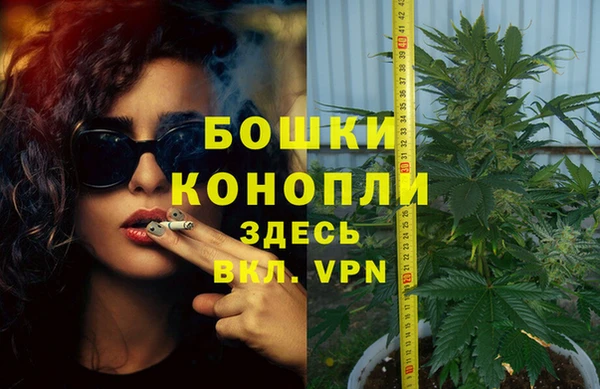 кокс Корсаков
