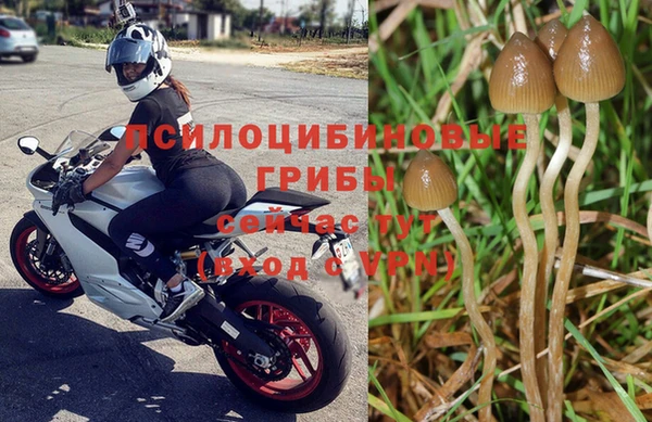 мет Коряжма