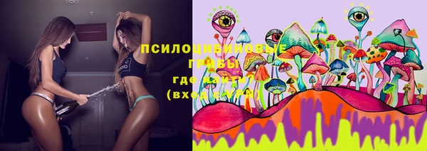 кокс Корсаков