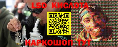 прущие грибы Железногорск