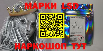 прущие грибы Железногорск