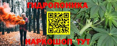 прущие грибы Железногорск