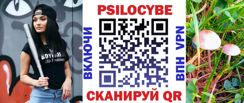 Псилоцибиновые грибы Psilocybine cubensis  Электросталь 