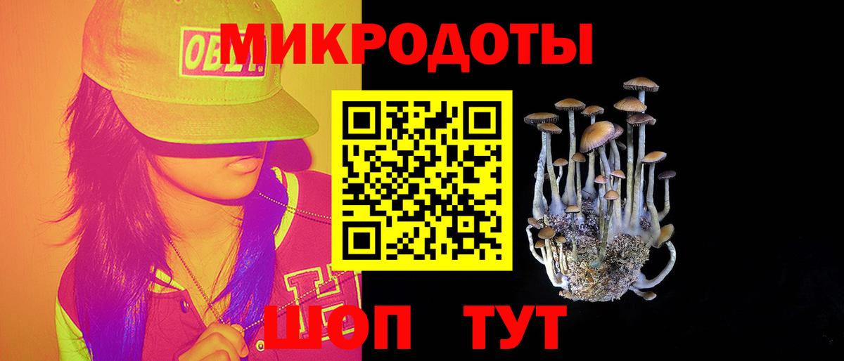 Галлюциногенные грибы Cubensis Электросталь
